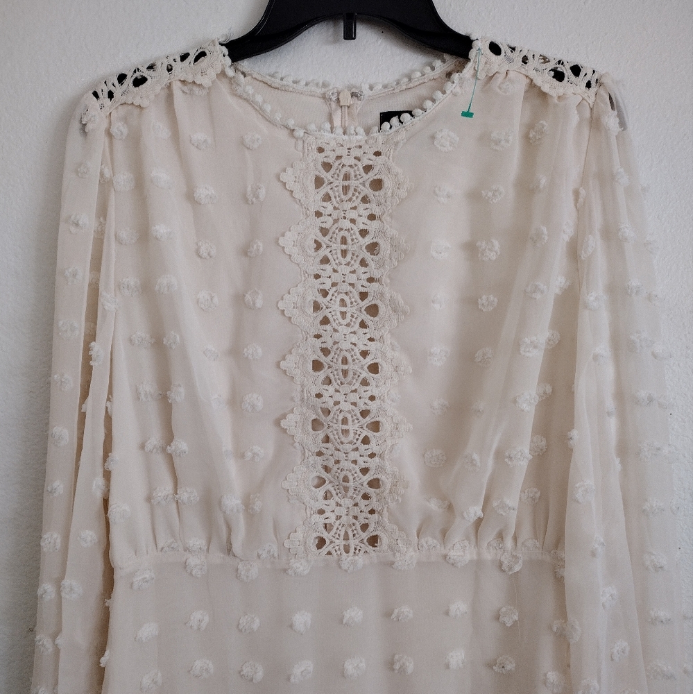 Lulu's Lust Or Love Elegant Cream Lace Embroidered Dress Size Large - Picture 6 of 16
